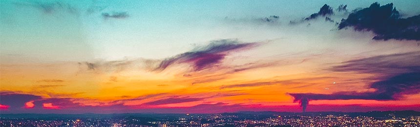 杞县茶虫网_杞县品茶